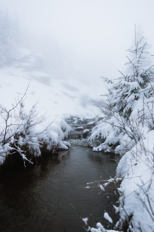 Kostenloses Stock Foto zu fluss, gewässer, kaltes wetter