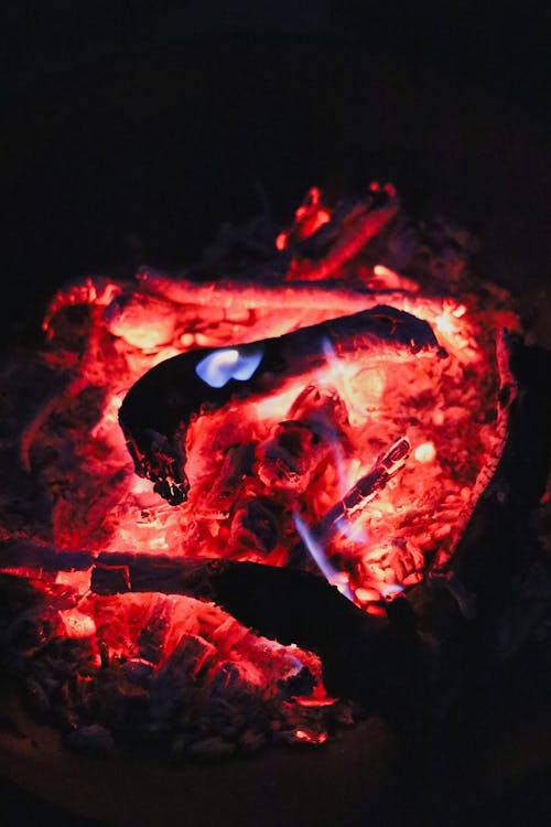 Free Foto profissional grátis de ardente, calor, carvão Stock Photo