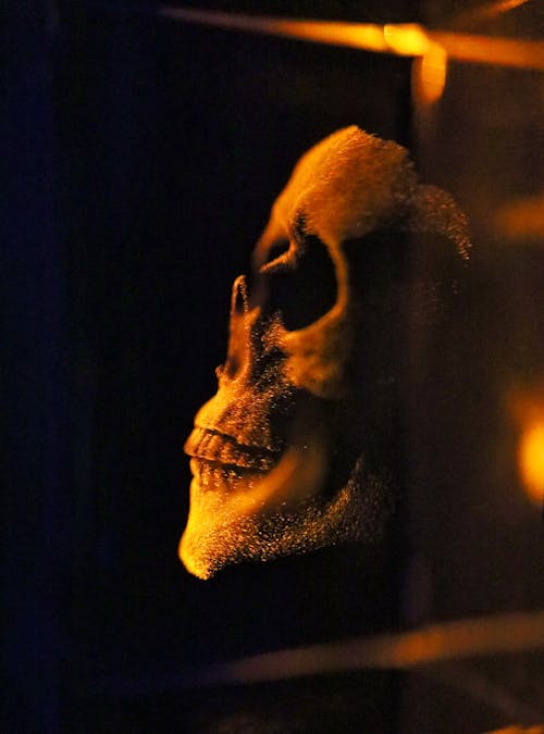 Golden Human Skull in Dark Background
