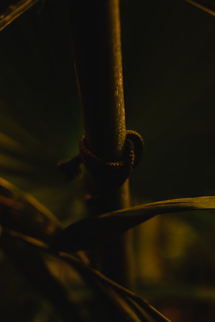 A Rope Tied On A Metal Bar