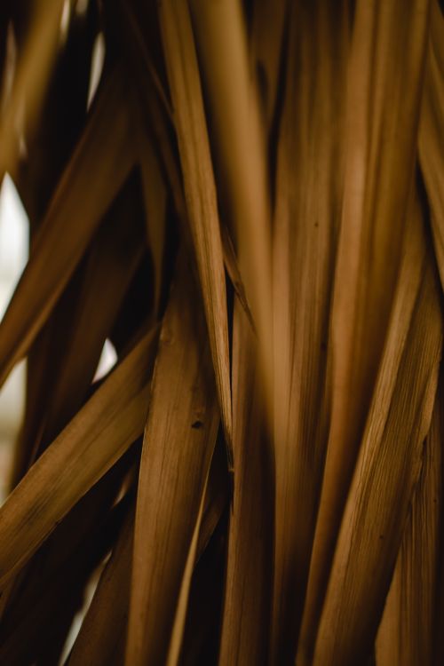 Free Detailed close-up of dried leaves, capturing earthy tones and textures typical of Estonia's autumn. Stock Photo