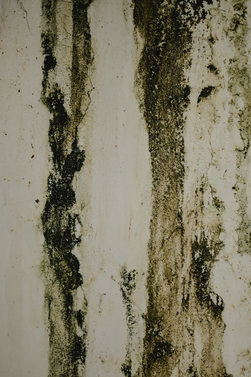 Close-up of a Stained Wall