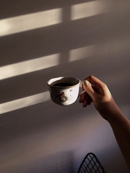 Free A hand holds a ceramic cup of coffee in soft morning light with warm shadows. Stock Photo