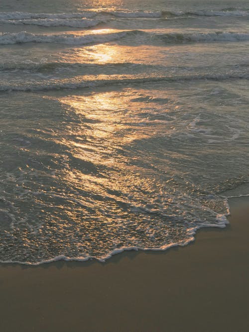 Foto profissional grátis de areia, beira-mar, espuma