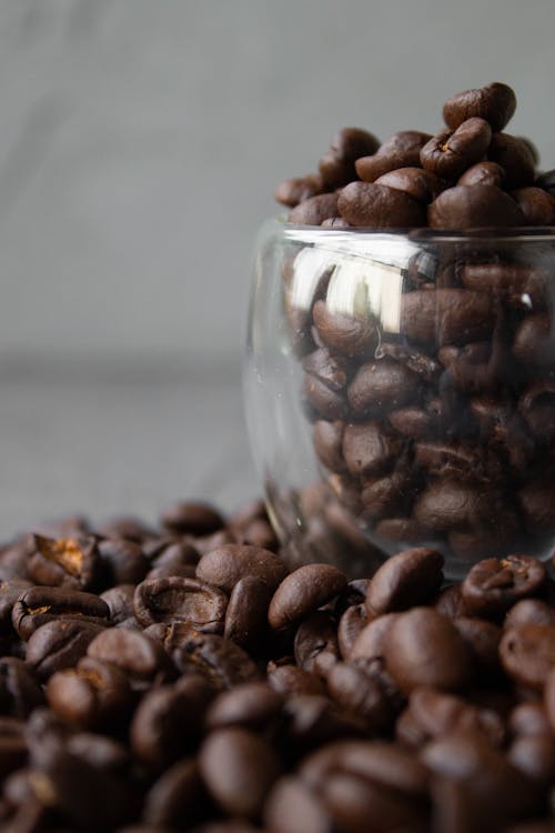 Free Glass cup full of roasted brown coffee beans placed on table against gray background in daylight Stock Photo