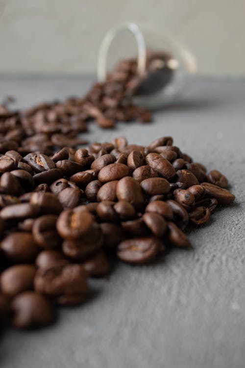 Free Coffee beans scattered from cup on gray table Stock Photo