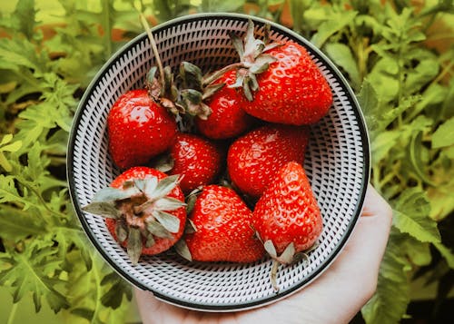 Free Strawberries in a Bowl Stock Photo