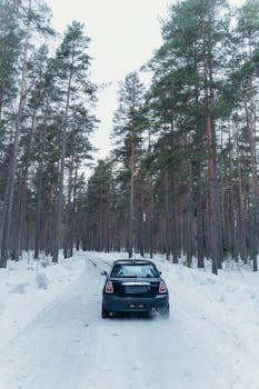 A car navigating a snowy road flanked by tall forest trees during winter.