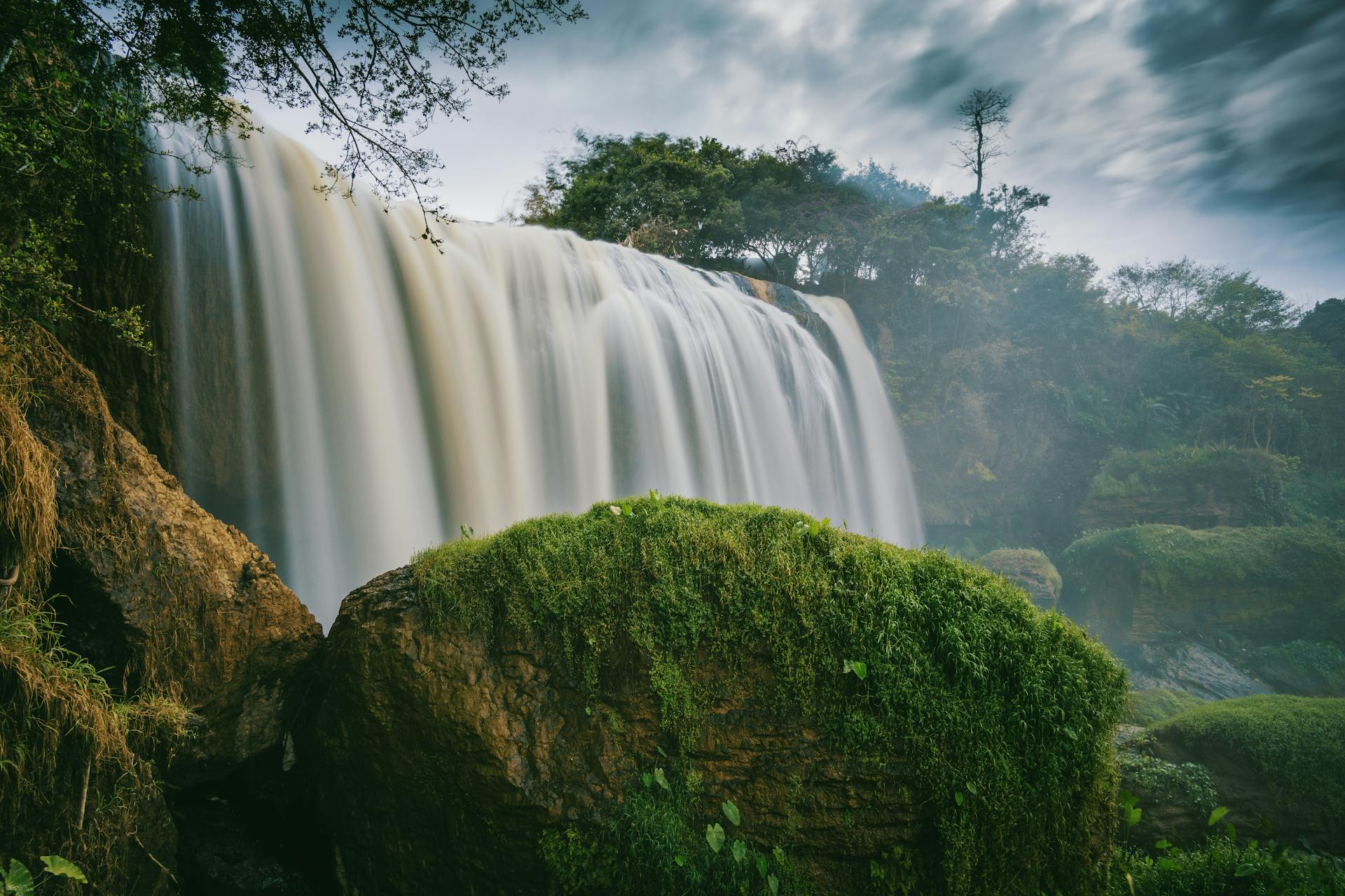 Photography of Waterfalls Surrounded by Trees