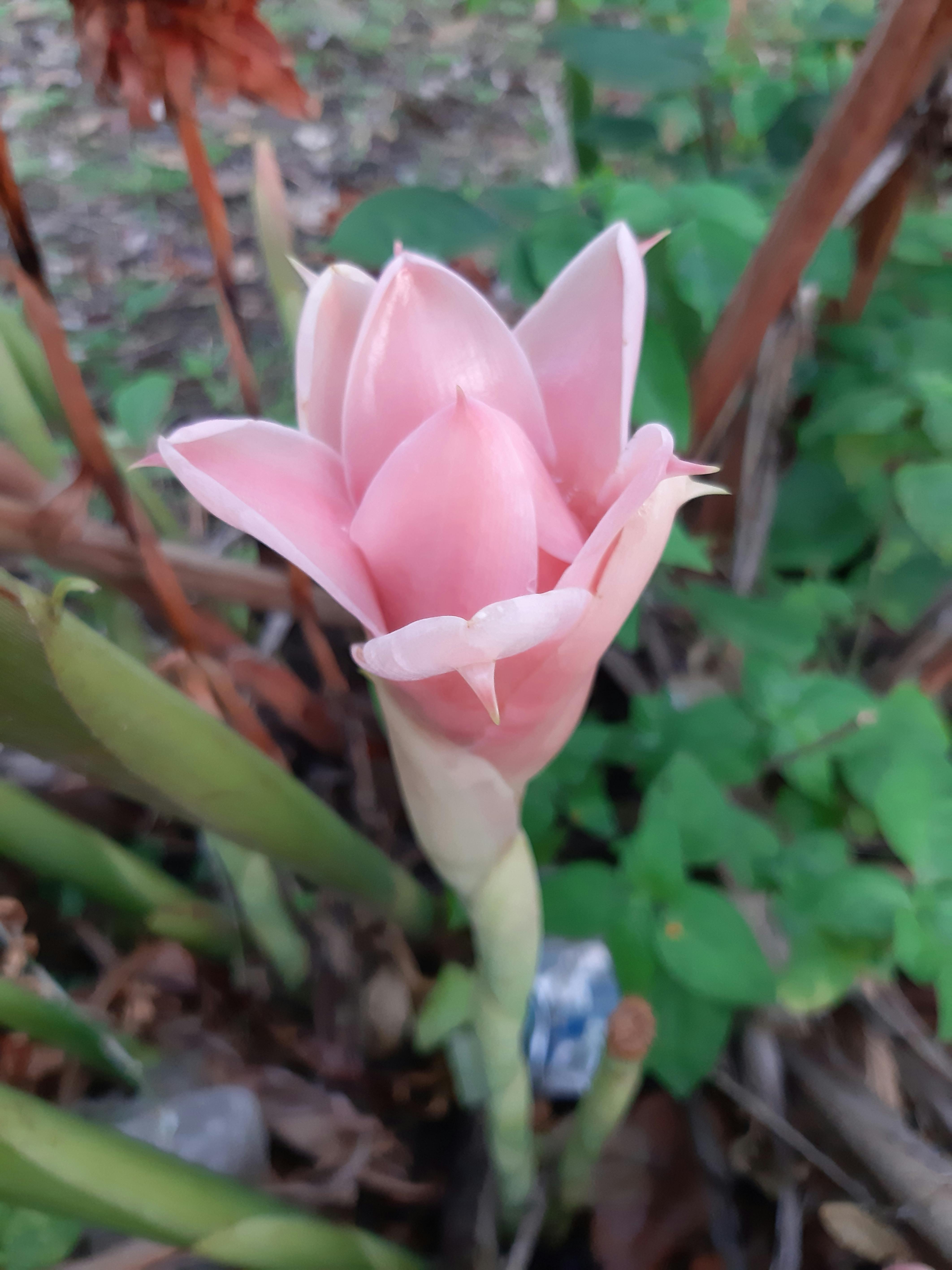 Cigarrillo roto simbolizando la decisión de dejar de fumar