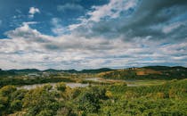Top View Photography of Green Forest