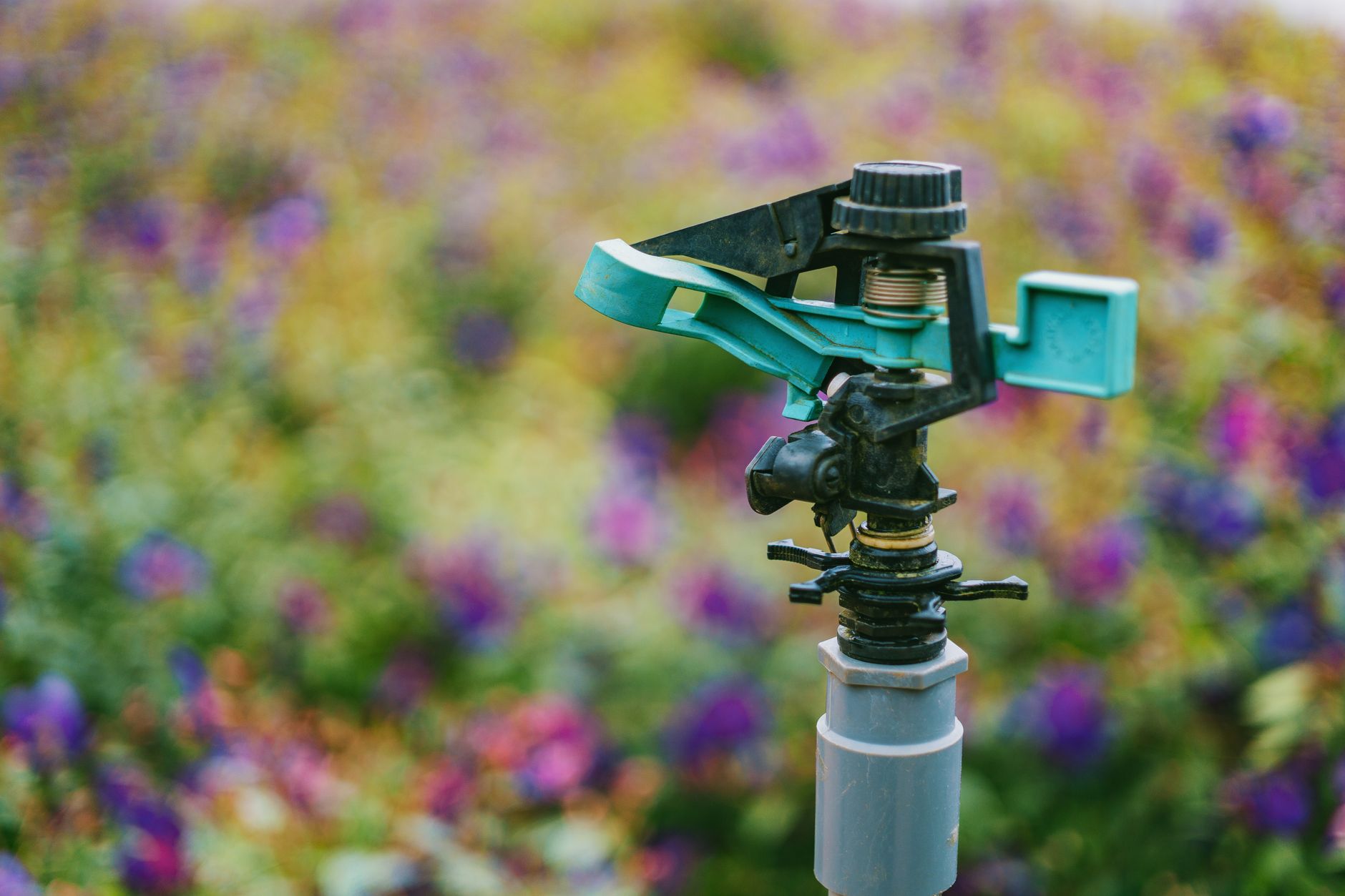 Best Garden Sprinklers 2026: Oscillating, Impact & Rotary