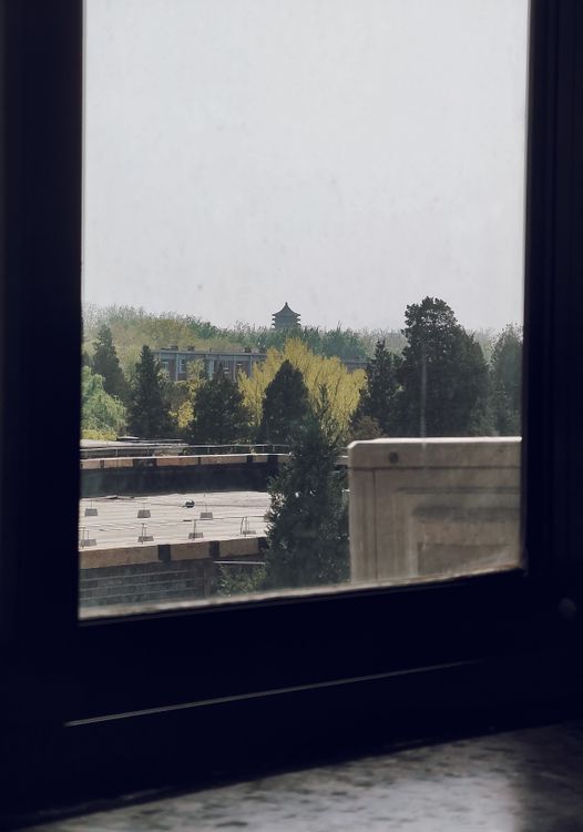View Out Window Frame Beautiful View Outside the Black Framed Glass Window · Free Stock Photo