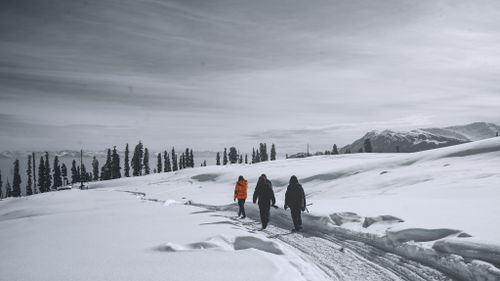 Free Three people hike through a snowy mountain landscape in winter, surrounded by trees and cold weather. Stock Photo