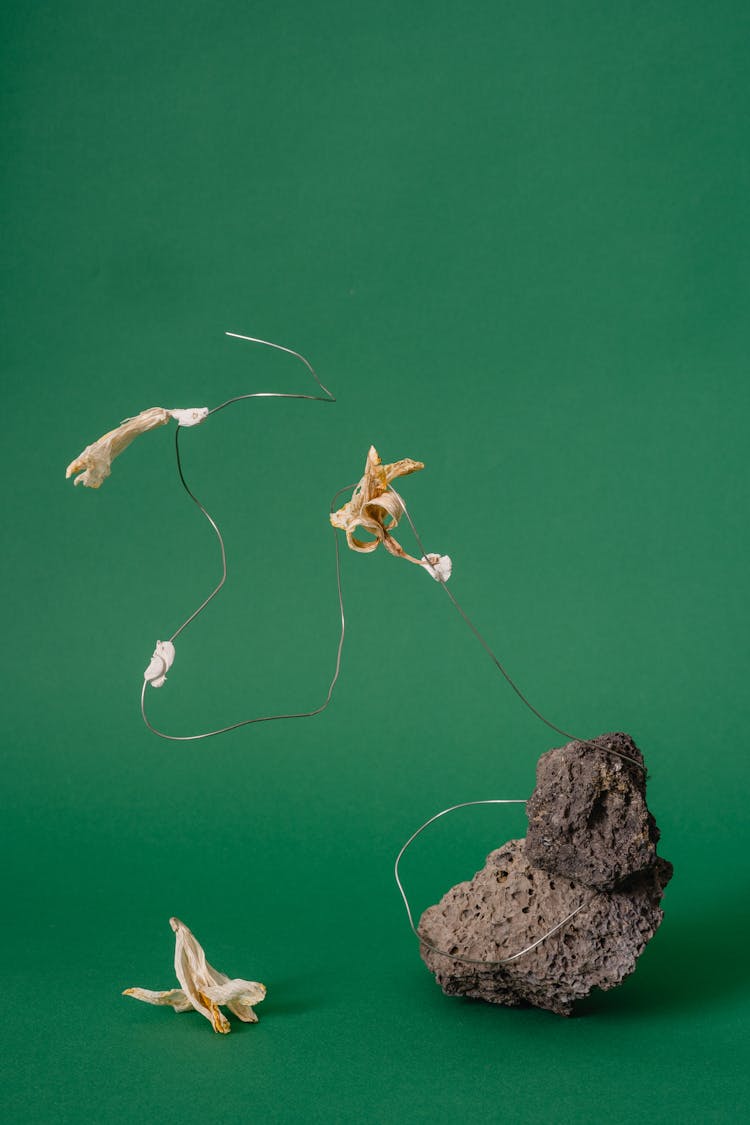 Dried Flower Petals On A Wire On A Stone