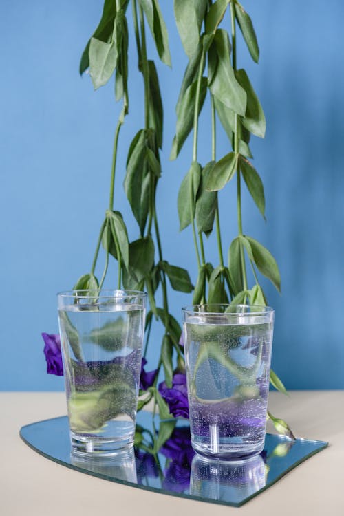 Glasses of Water on a Mirror Near Green Leaves