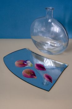 Artistic composition of glass bottle, mirror, and flower petals reflecting on a blue background.