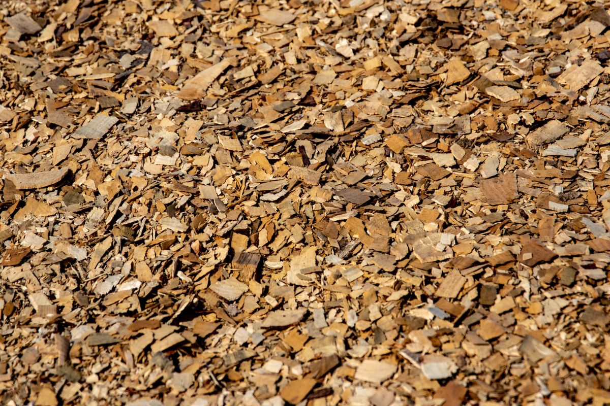 Close-up of natural wood shavings covering the ground, ideal for mulch or crafting