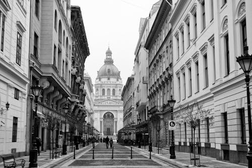 Grayscale Photo of a City Street