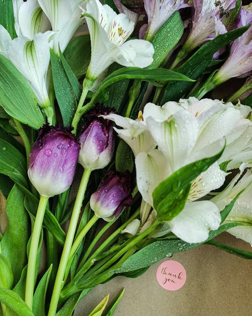 Free stock photo of bouquet, flowers, flowersandmacro