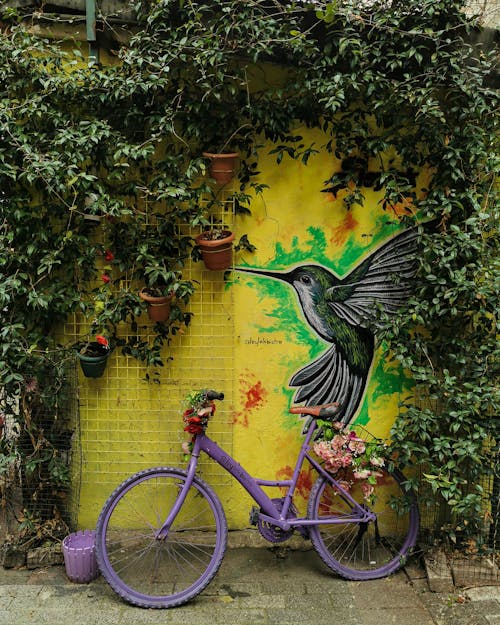 Bicycle Parked Beside Wall Painting