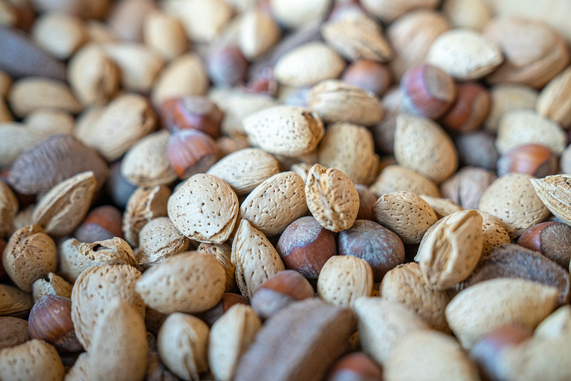A detailed close-up of mixed nuts in their shells featuring almonds and chestnuts.