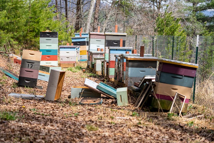 Colorful Bee Hives 