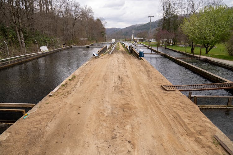 Road Between Canals