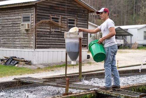 Foto profissional grátis de agricultura, alimentando, alimentos