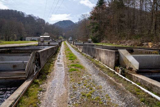 Narrow gravel path alongside a trout farm with a mountain backdrop.