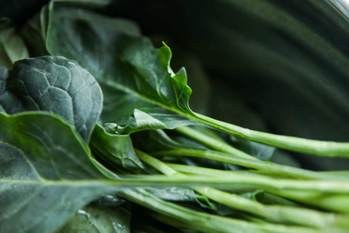 Fresh collard green leaves showing broad flat leaves with prominent stems