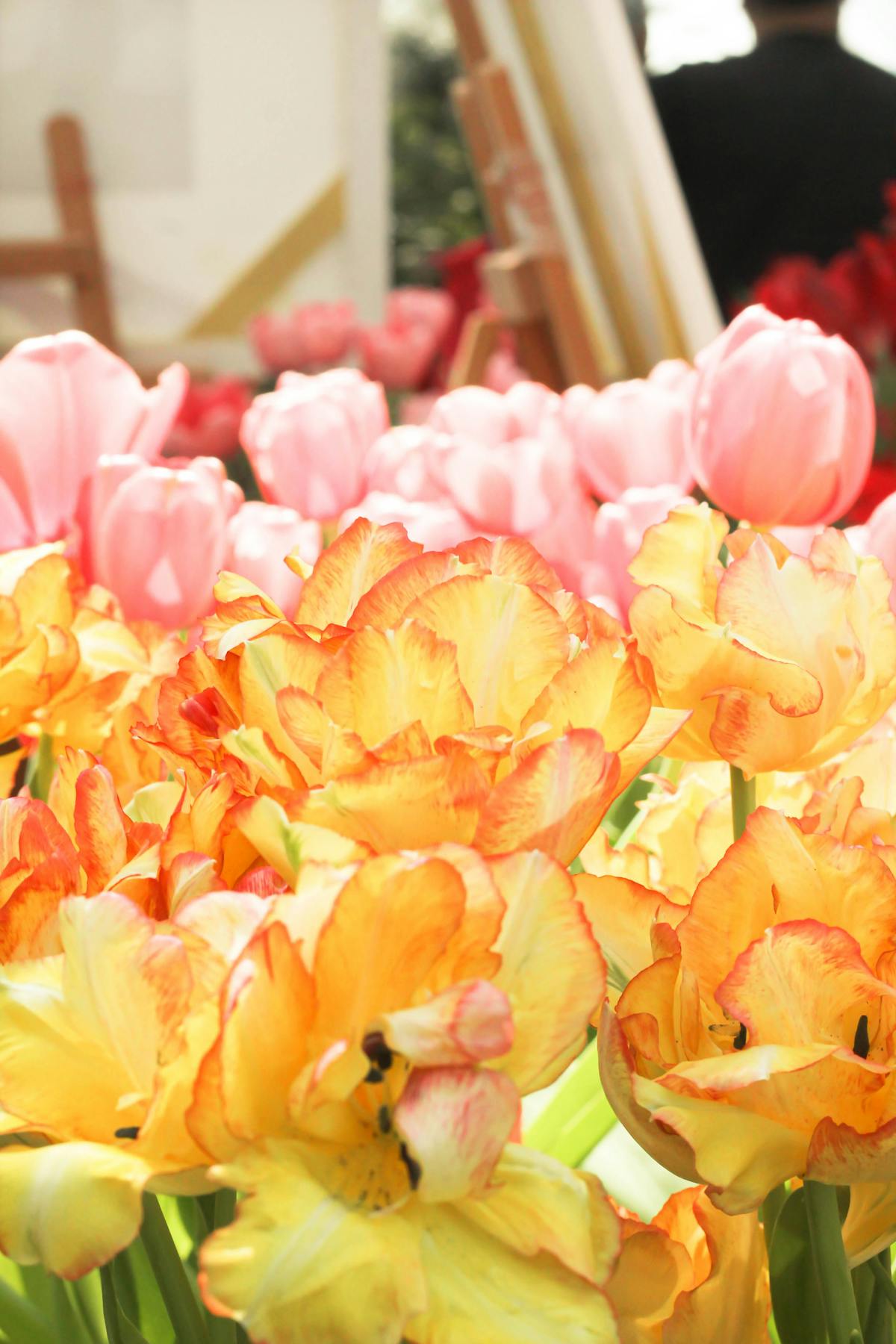 Shelves with groceries and kitchen staples