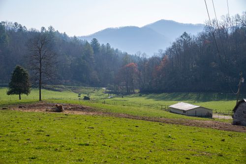 Free Tranquil rural scene featuring grassy fields, trees, and distant mountains. Stock Photo