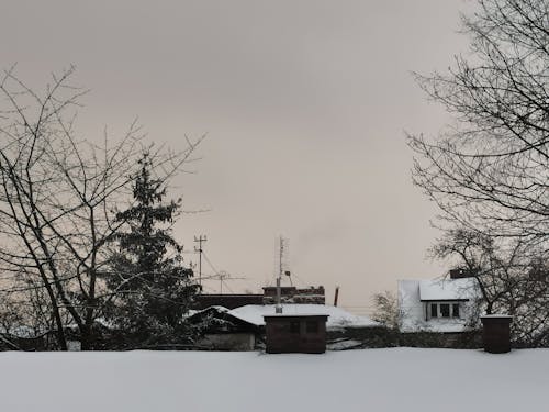 Základová fotografie zdarma na téma silné sněžení, zima, zimní tapety