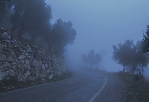 Kostenlos Straße Zwischen Bäumen Und Einer Mit Nebel Bedeckten Klippe Stock-Foto