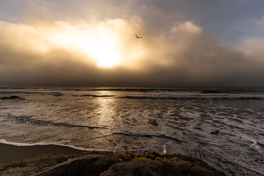 A tranquil ocean scene at sunset with a bird flying against a dramatic sky.