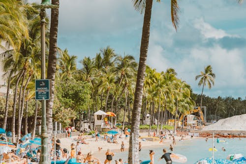 Free A lively tropical beach with people enjoying the sun and sea among lush palm trees. Stock Photo