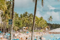 一个热闹的热带海滩，人们在郁郁葱葱的棕榈树中享受阳光和大海