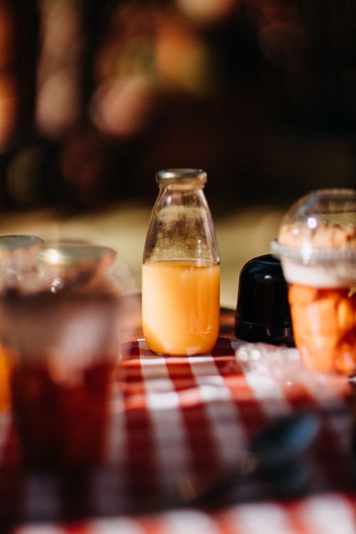 Free Glass bottle with juice placed near cup of cut fruits on checkered tablecloth in garden on blurred background in summer day Stock Photo