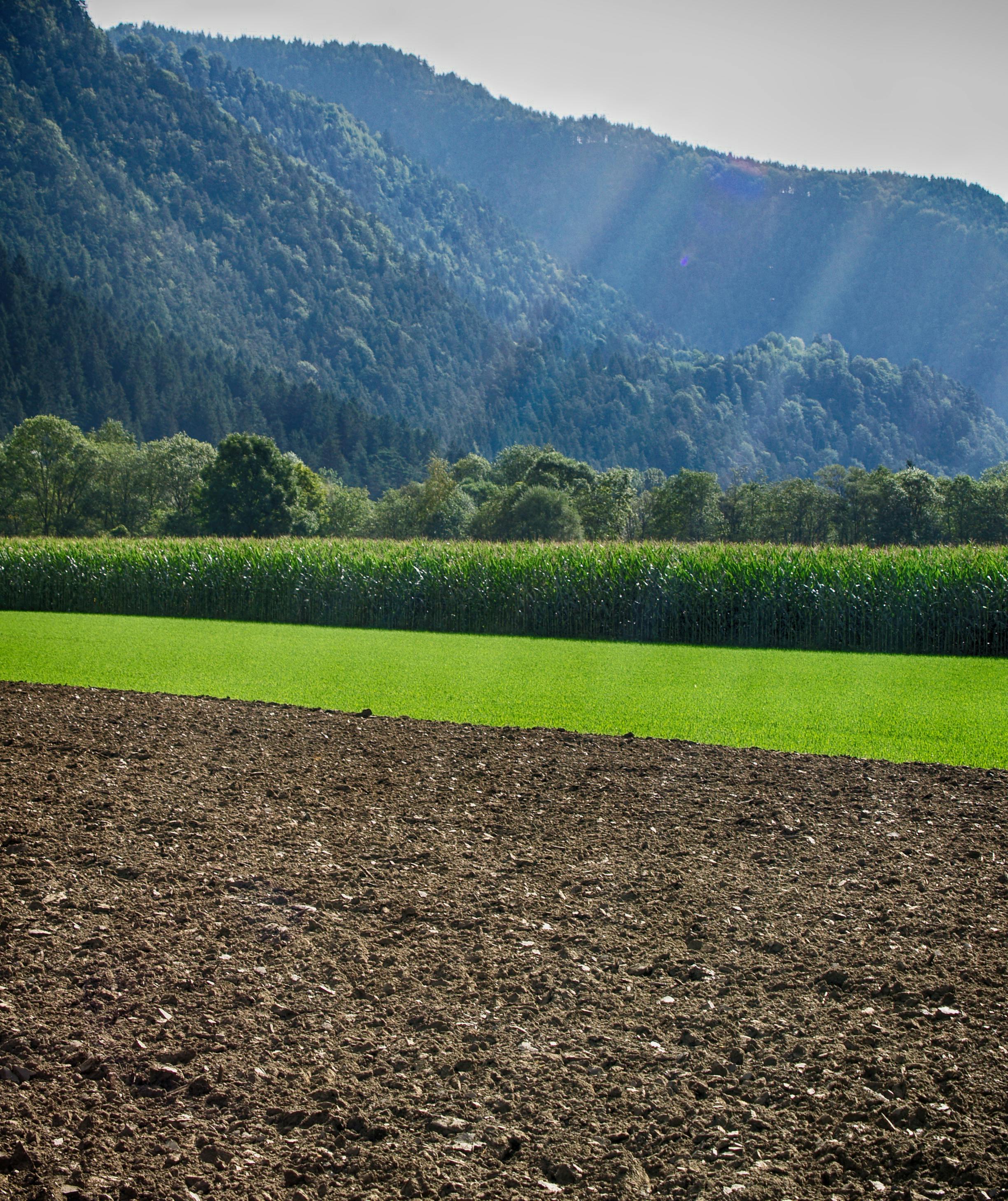 Kostenloses Foto zum Thema acker, ackerland, bauer