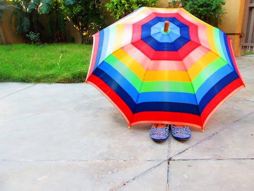 Free Multicolored Umbrella Stock Photo