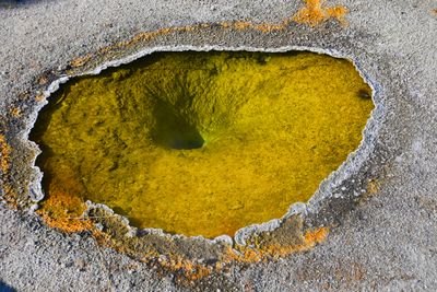 Deep-Sea Vents Host Life Thriving on Chemicals