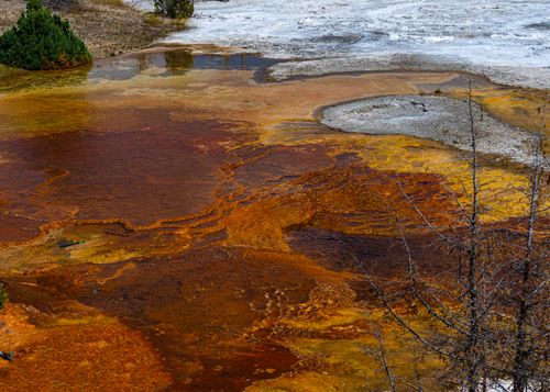 Free Explore the vivid geothermal formations in Yellowstone National Park, showcasing vibrant colors and unique textures. Stock Photo
