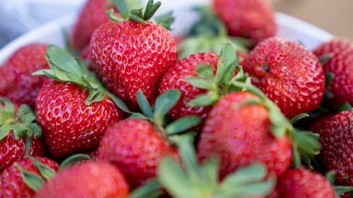 Free Red Strawberries in the Bowl Stock Photo
