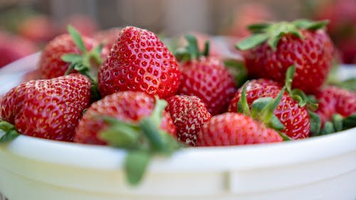 Free Red Strawberries in the Bowl Stock Photo
