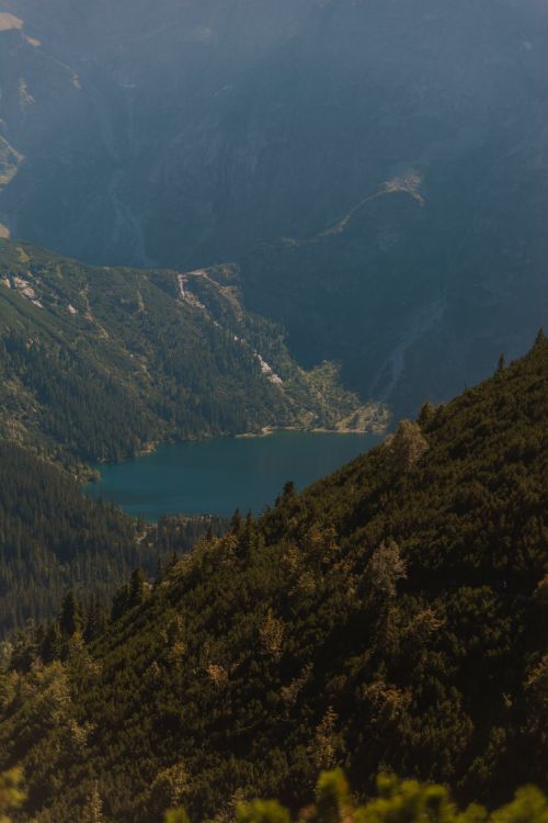Free Breathtaking view of a mountain lake surrounded by lush green forests in Małopolskie, Poland. Stock Photo