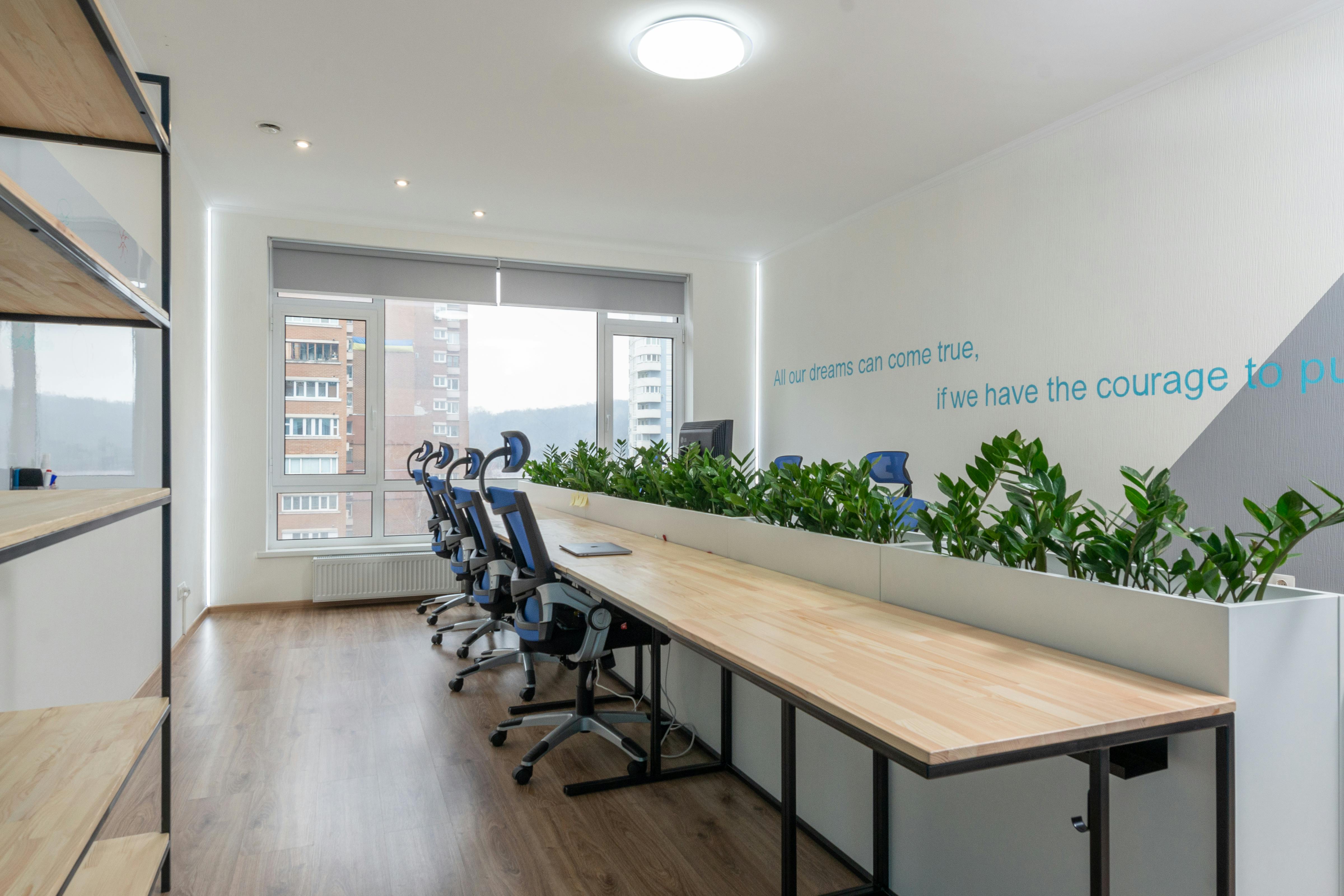 table with plants in boardroom