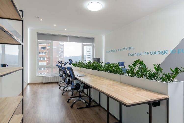 Table With Plants In Boardroom