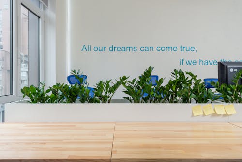 Wooden table with stickers near green plants and wall with motivational inscription in modern conference room with window in office
