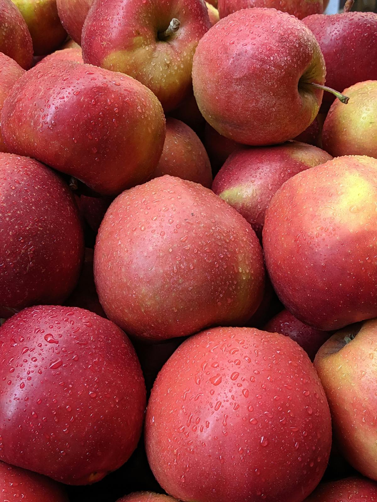 Warm minimalist bedroom with layered neutral bedding and soft lighting